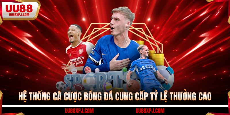 Hệ thống cá cược bóng đá cung cấp tỷ lệ thưởng cao