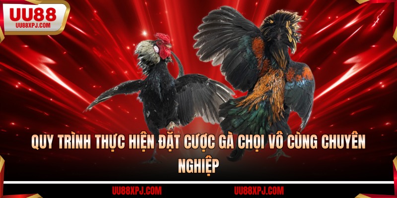 Quy trình thực hiện đặt cược gà chọi vô cùng chuyên nghiệp